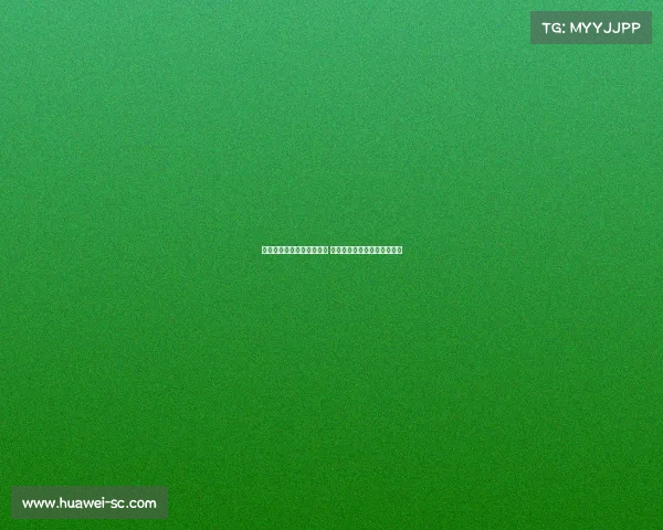 杨瀚森联合试训表现引关注 积极主动攻防风格获多队青睐